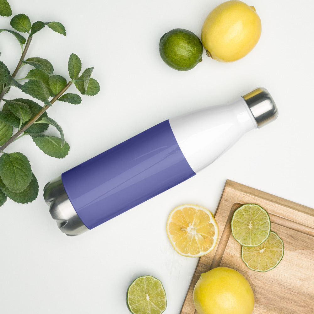 Limited Edition Color of The Year 2022 Veri Peri URBAN Stainless Steel Water Bottle